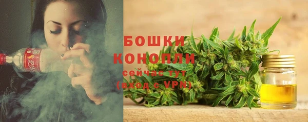 спайс Арсеньев