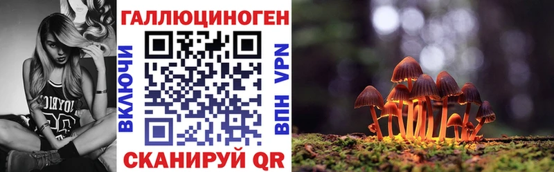 нарко площадка Telegram  Палласовка  Псилоцибиновые грибы мицелий 