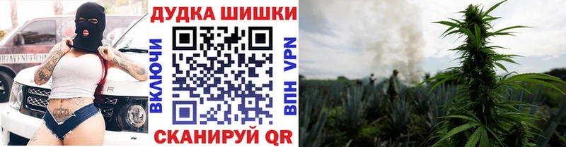 Шишки марихуана OG Kush Палласовка